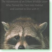 My Backyard Jungle book cover icon. Raccoon watching you.