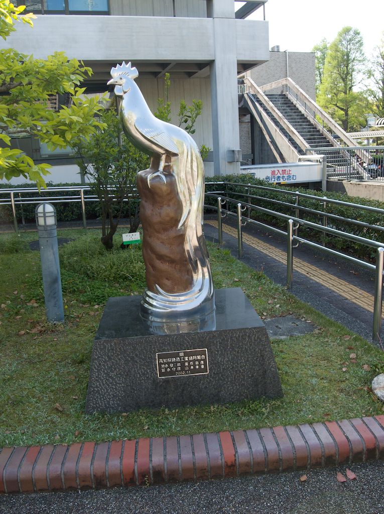 Ongadori long-tailed roosters at Kochi. Raising Ongadori, long-tailed roosters, dates from the Edo period. These uniquely Japanese birds grow tail feathers measuring as long as 32 feet. You might be able to see them at The Ongadori Center of Kochi. 