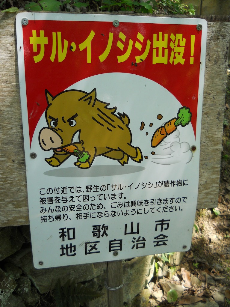 Japanese Wild Pig Sign
