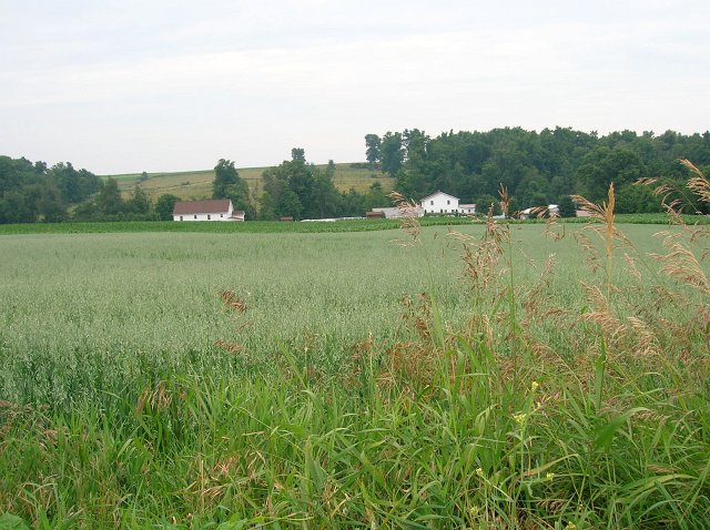 An Amish farm in Holmes County Ohio.