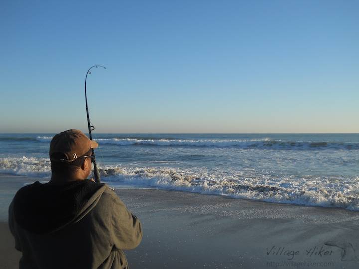 On a cool fall morning, a surf fisher plays with a bluefish near Melbourne Beach, Florida. Lightly spaced along the beach, fishers cast live bait, cut bait and artificial lures into the surf--determining the best places to fish by watching for pelicans and other birds feeding offshore. This particular fisher visits the beach early, catching five to seven before heading to work. The common catches are bluefish, redfish and whitings. Snapped with a Nikon Coolpix L22. Copyright 2010 by Village Hiker Publishing Company. All rights reserved. Please do not use without permission. Contact Village Hiker for digital reproduction and high-resolution prints.