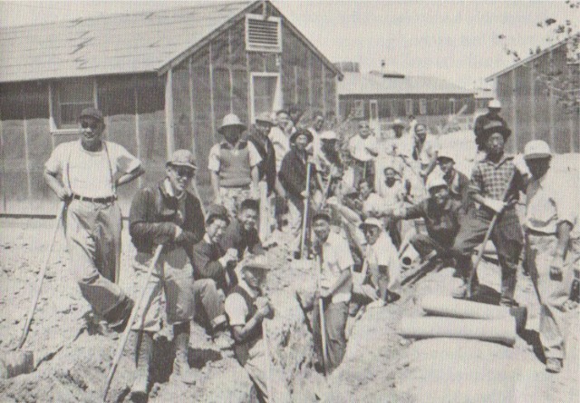 internees-at-topaz-in-utah-dig-a-ditch