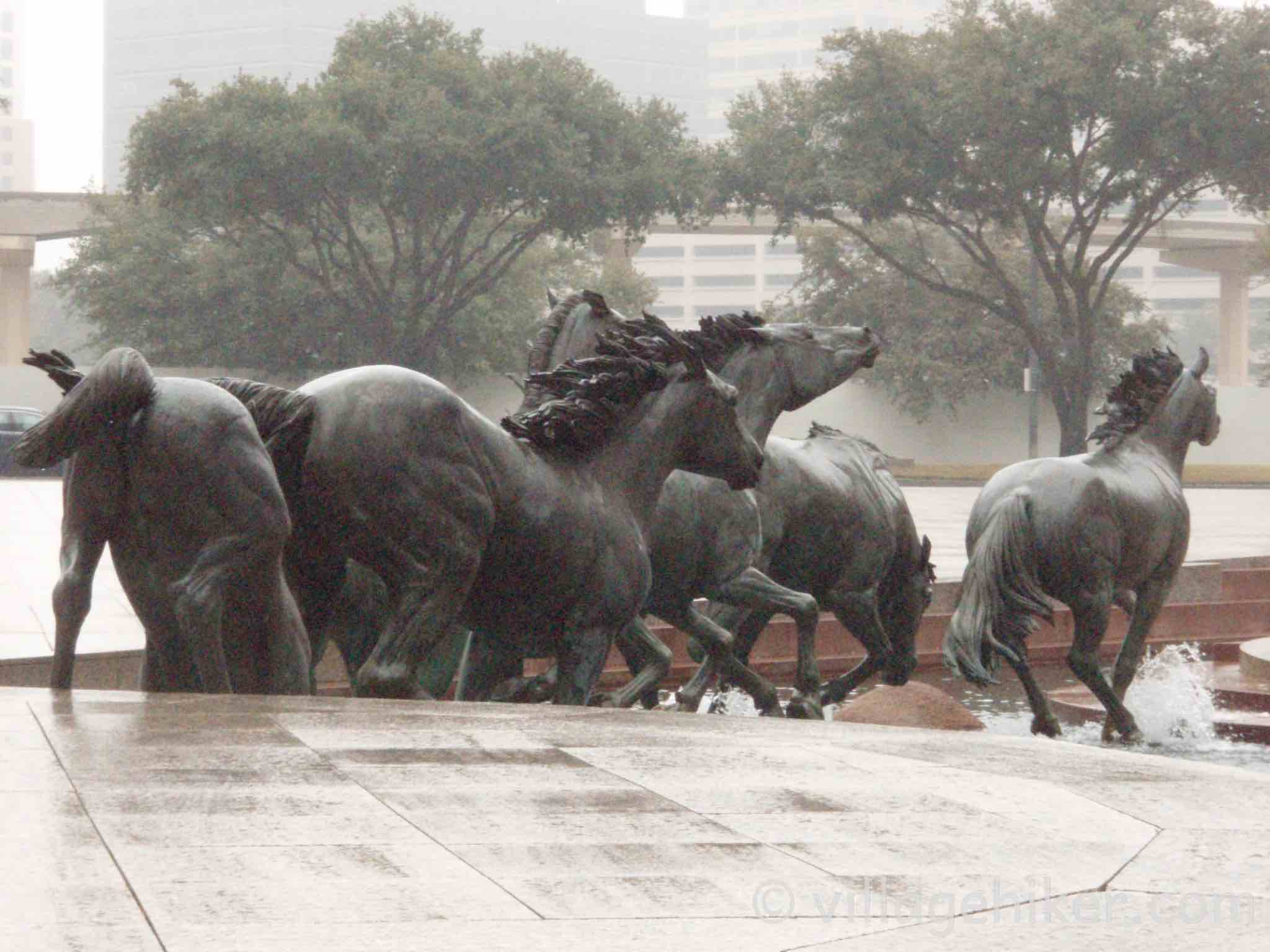 bronze mustangs splash through the fountain in a heavy rain.