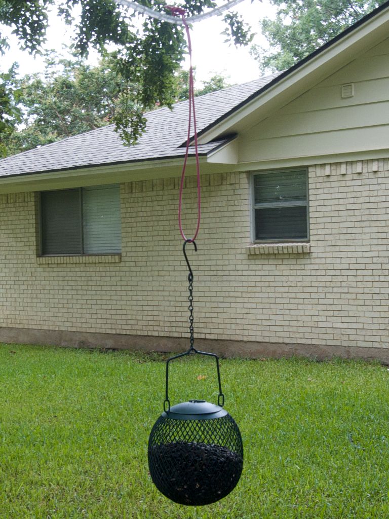 Mesh bird feeder extended