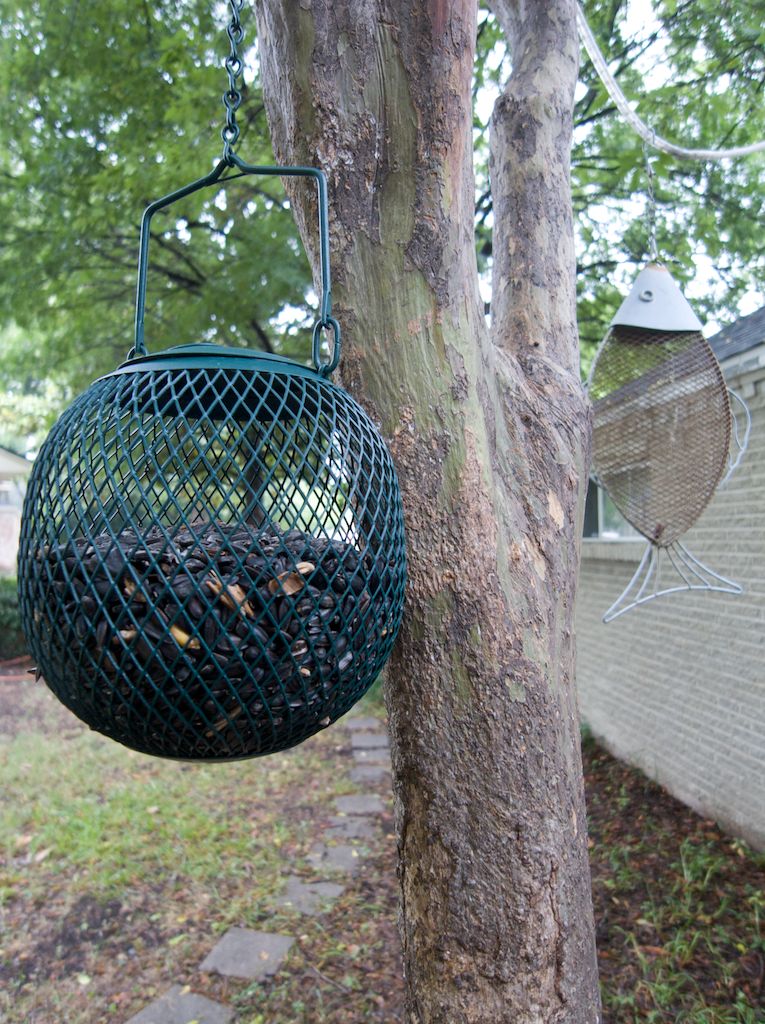 Mesh bird feeder in tree