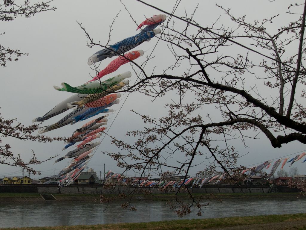 Carp Streamers, Samurai Armor and Iris Leaves Boys' Day Festival in Japan