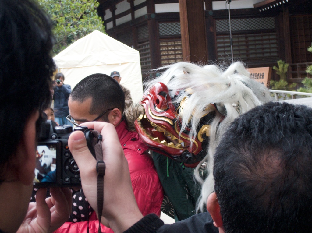 Japanese Lion Nudges Man on Shoulder During Dance