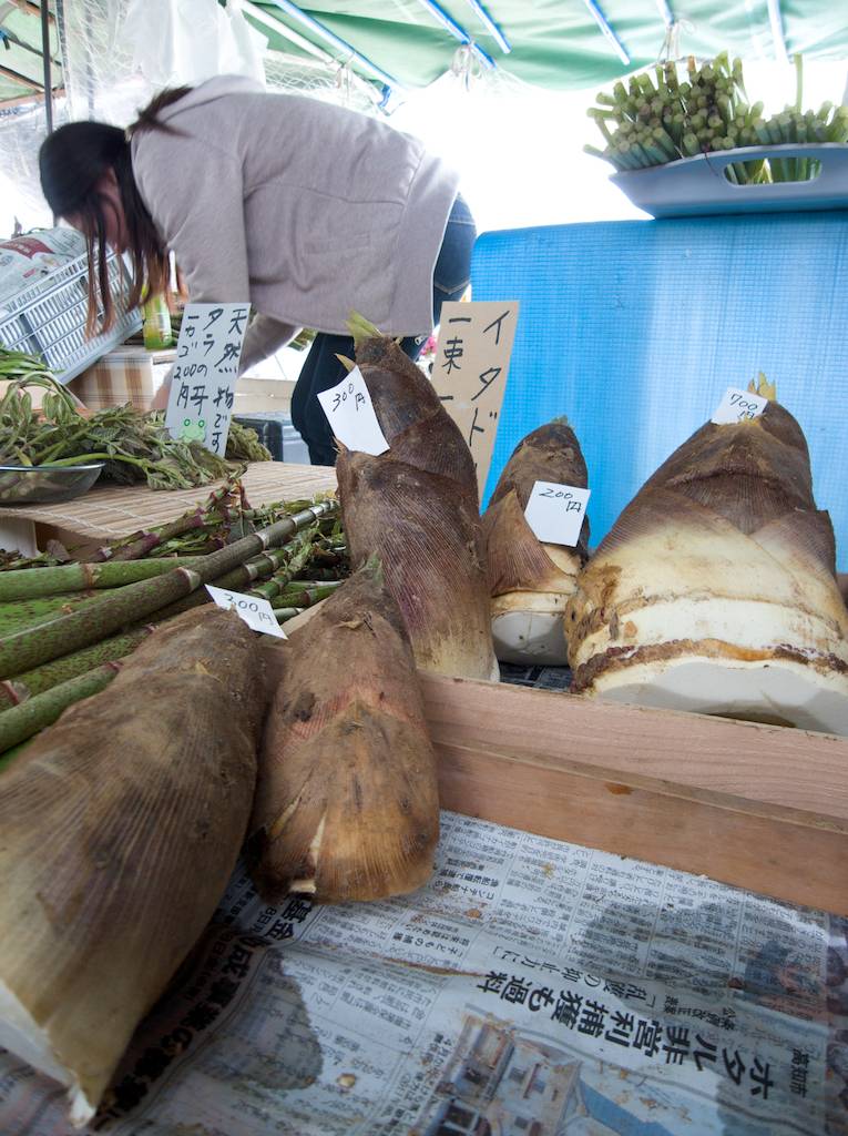 Large Bamboo Shoot at Kochi Sunday Market
