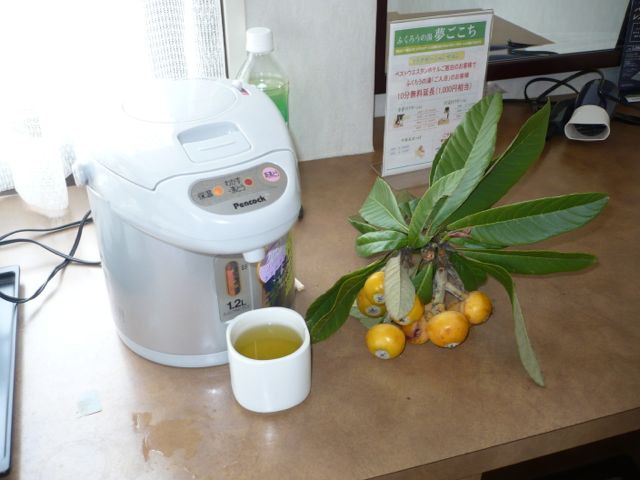 hotel_provided_electric_pot_in_room_wakayama_japan