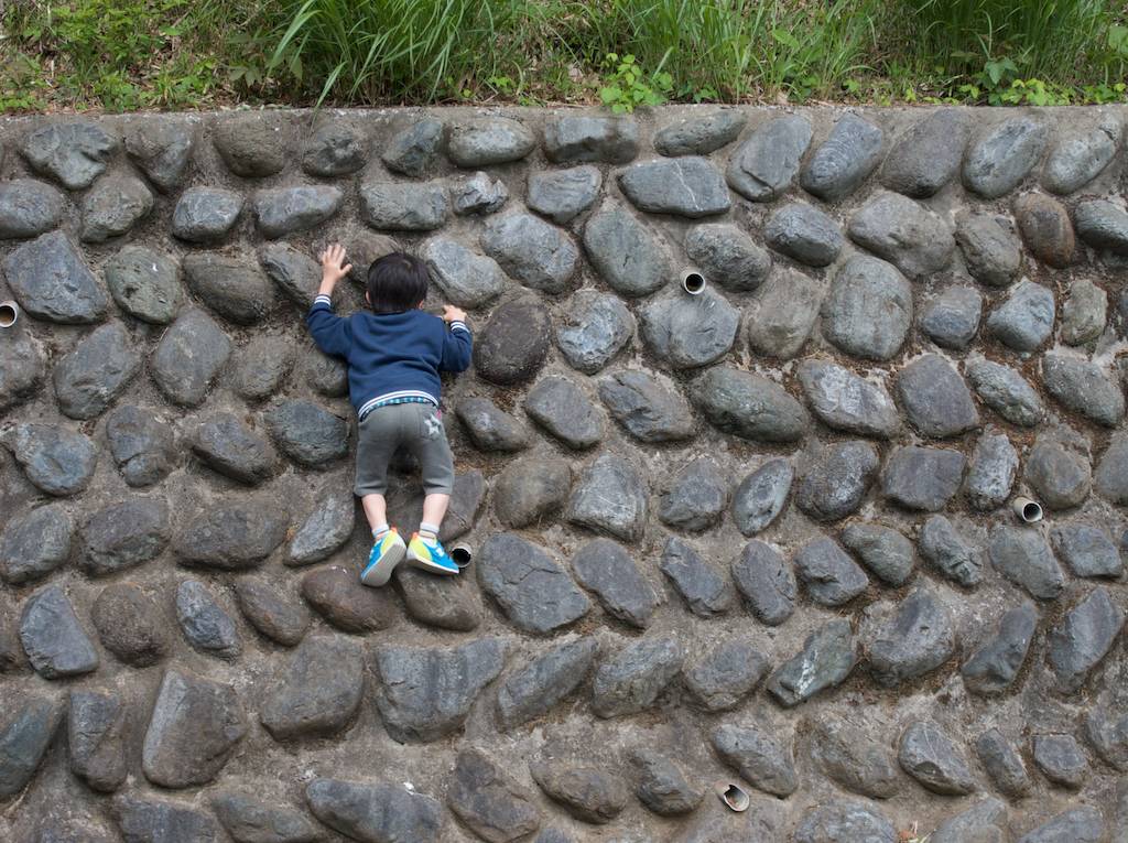 Japanese Climber Scales Wall at Tama Zoological Park