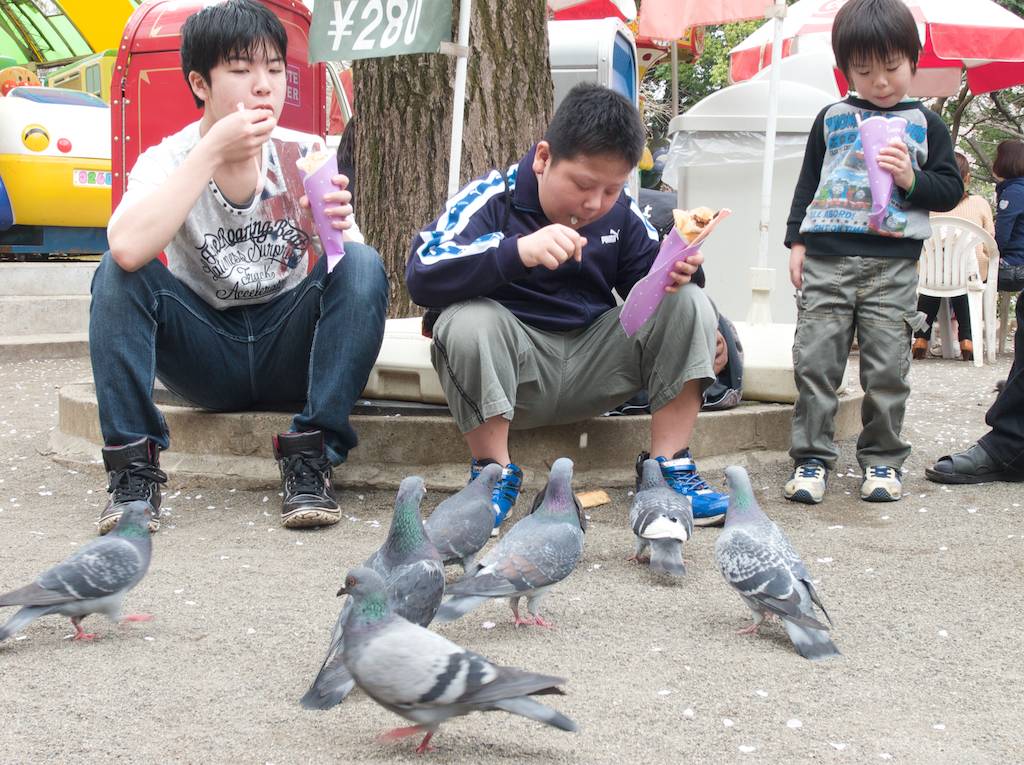 Pigeons Clean Up After Kids