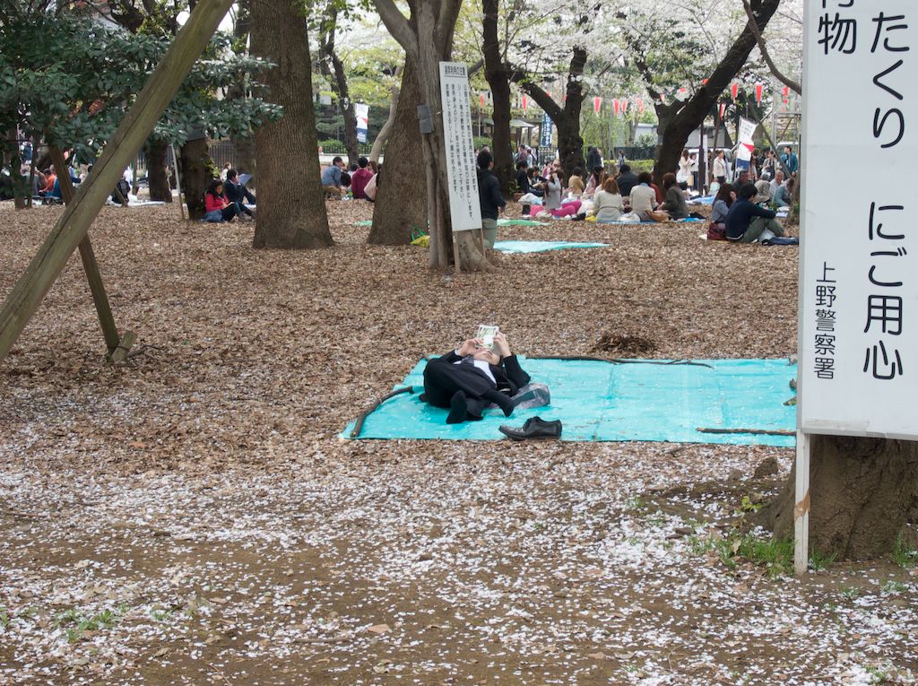 Man Saves Picnic Spot at Ueno Park