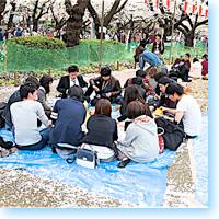 Ueno Park Cherry Blossom Party