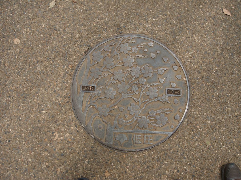 Ueno Park Manhole Covers Feat Cherry Trees
