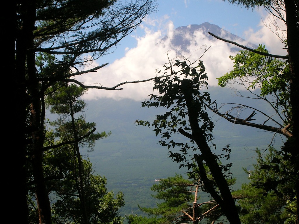 Fujisan from Top of Mt. Tenjo
