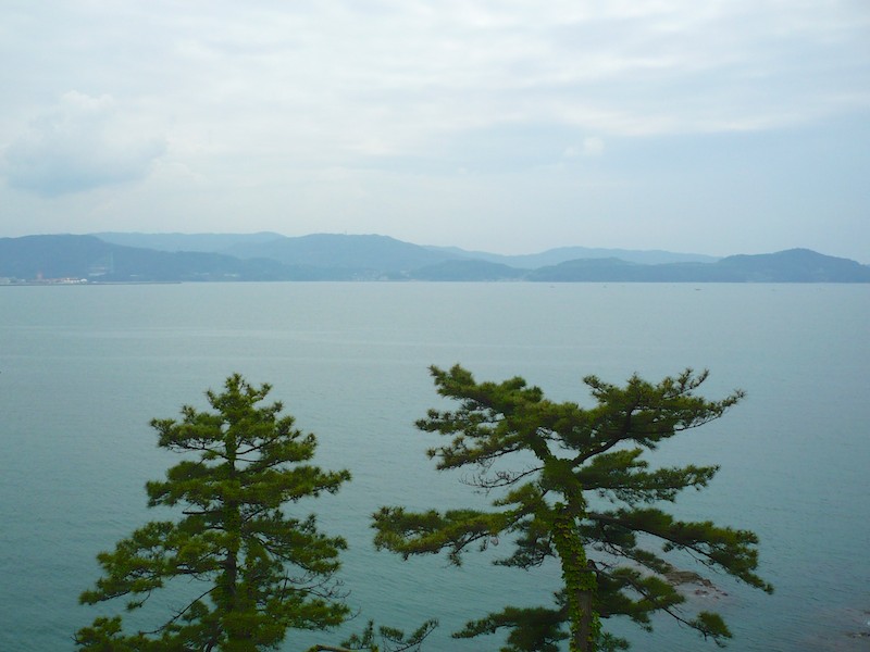 Looking South Across Wakaura Bay