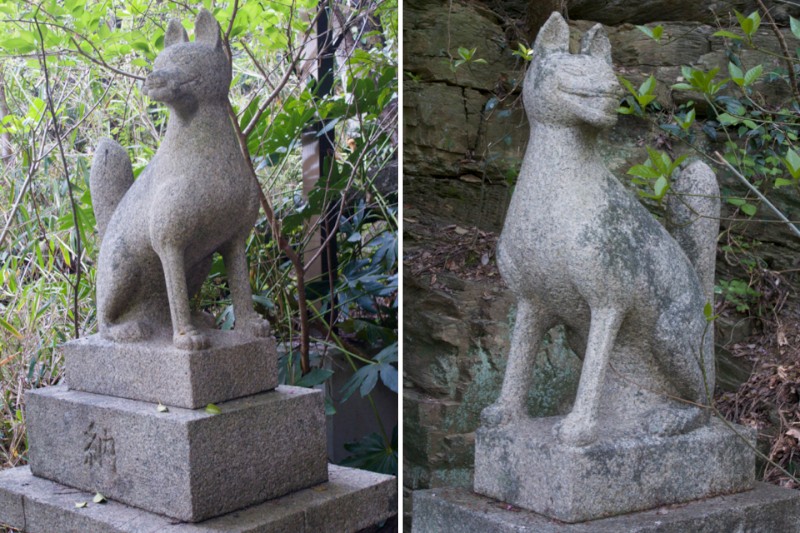 Male and Female Fox Guard the Takozushiyama Wakaura Inari Shrine