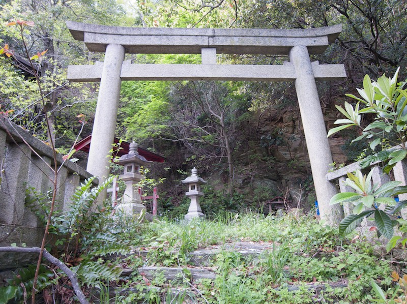 Stone Torii Leads Toward Worship Area at Takozushiyama Wakaura Inari Shrine