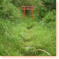vermilion torii icon