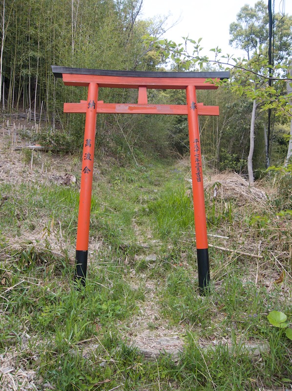 vermilion Torii In April Without Summer Lush Greenery at Takozushiyama Wakaura Inari Shrine