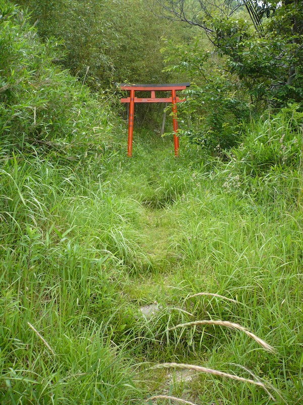 vermilion Torii Overlooking Wakaura Bay at Takozushiyama Wakaura Inari Shrine
