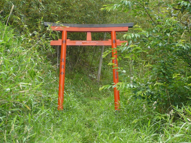 vermilion Torii Through a Telephoto Lens