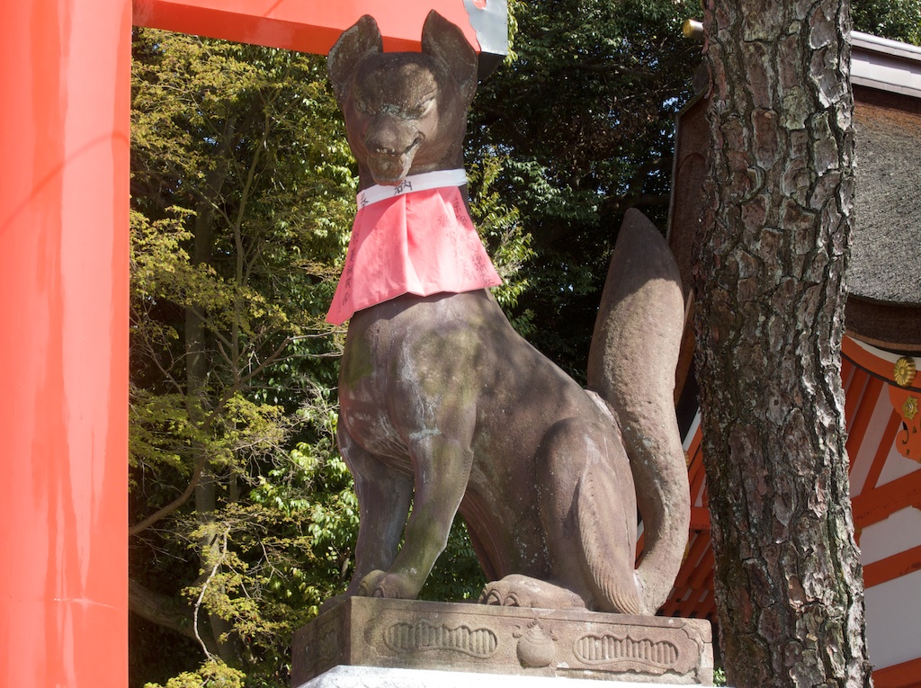 Eager Female Fox Watches a Primary Gate at Fushimi Inari Taisha