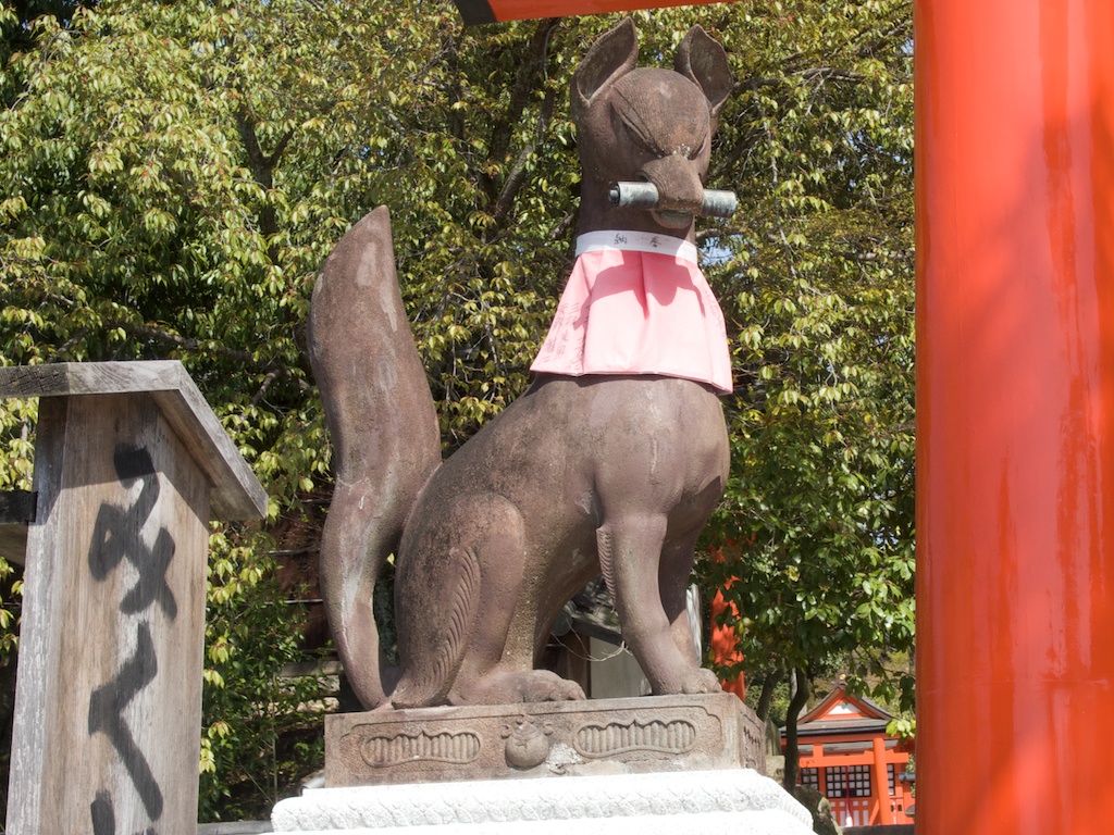 Eager Fox Watches a Primary Gate at Fushimi Inari Taisha