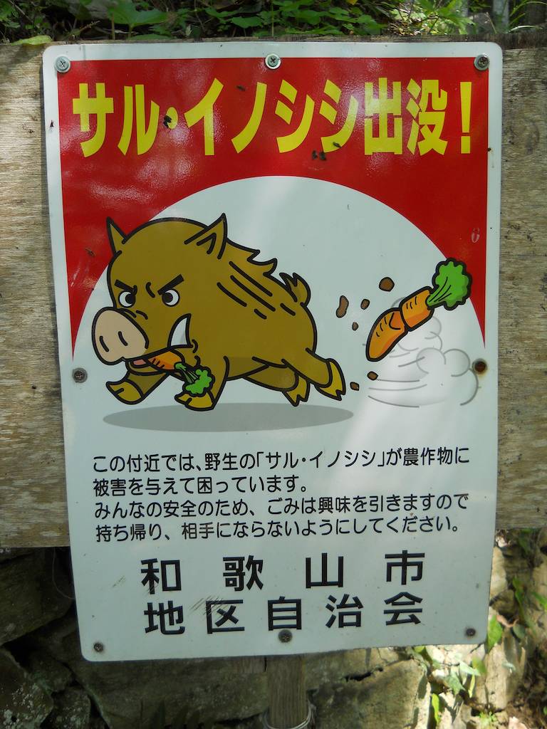 Feral Pig Warning on Nagusayama