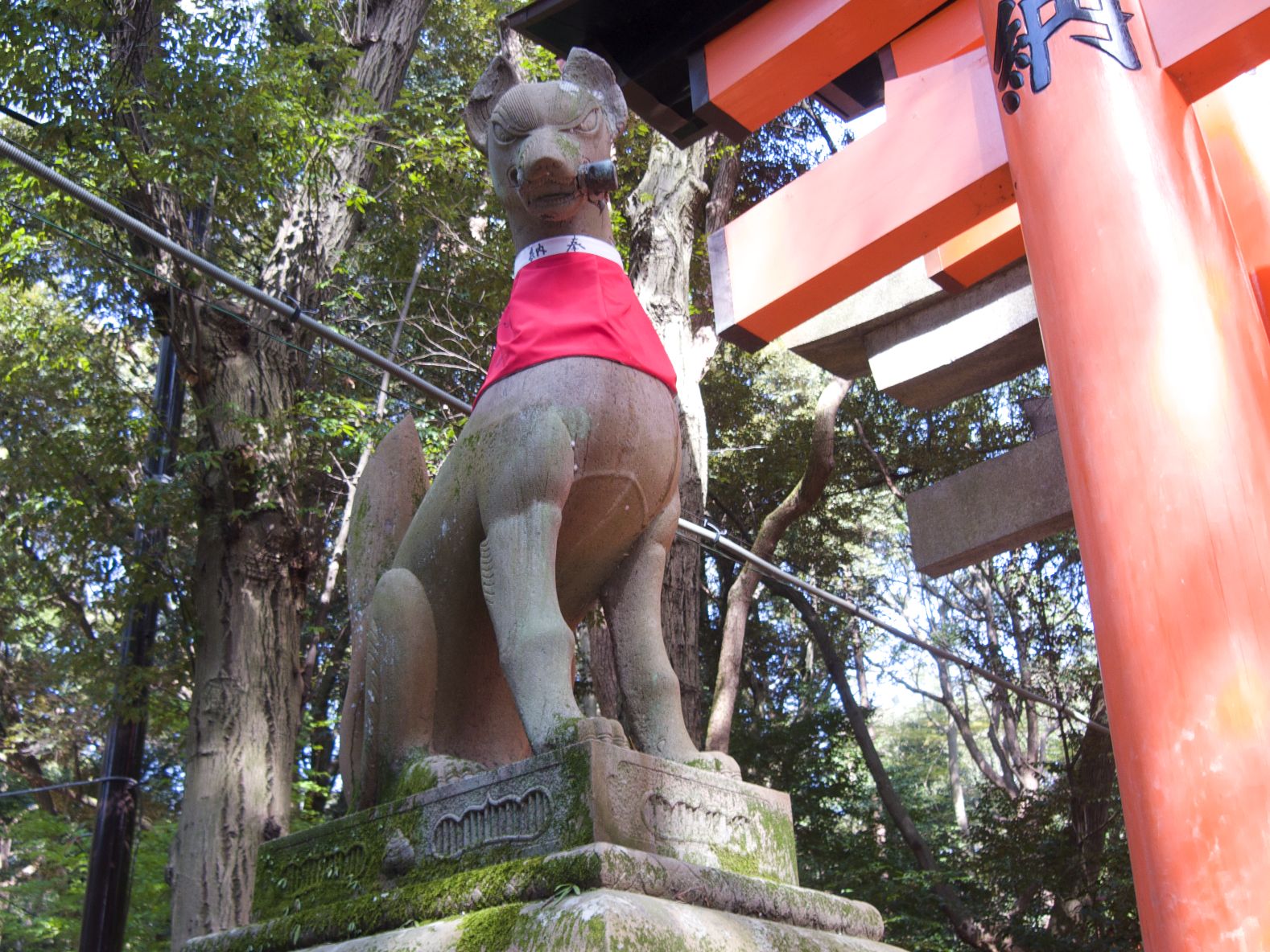 Foxes Guard Inari Shrines and Carry Messages to and From the Kami