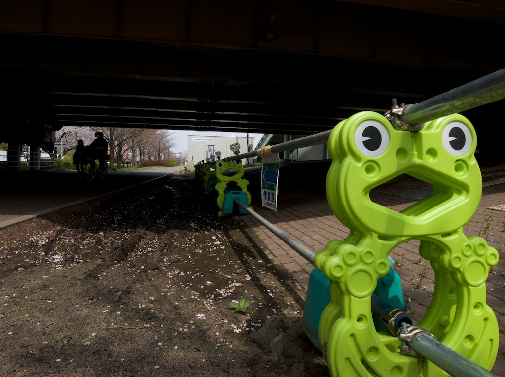 Frog construction barrier in Niigata City Japan