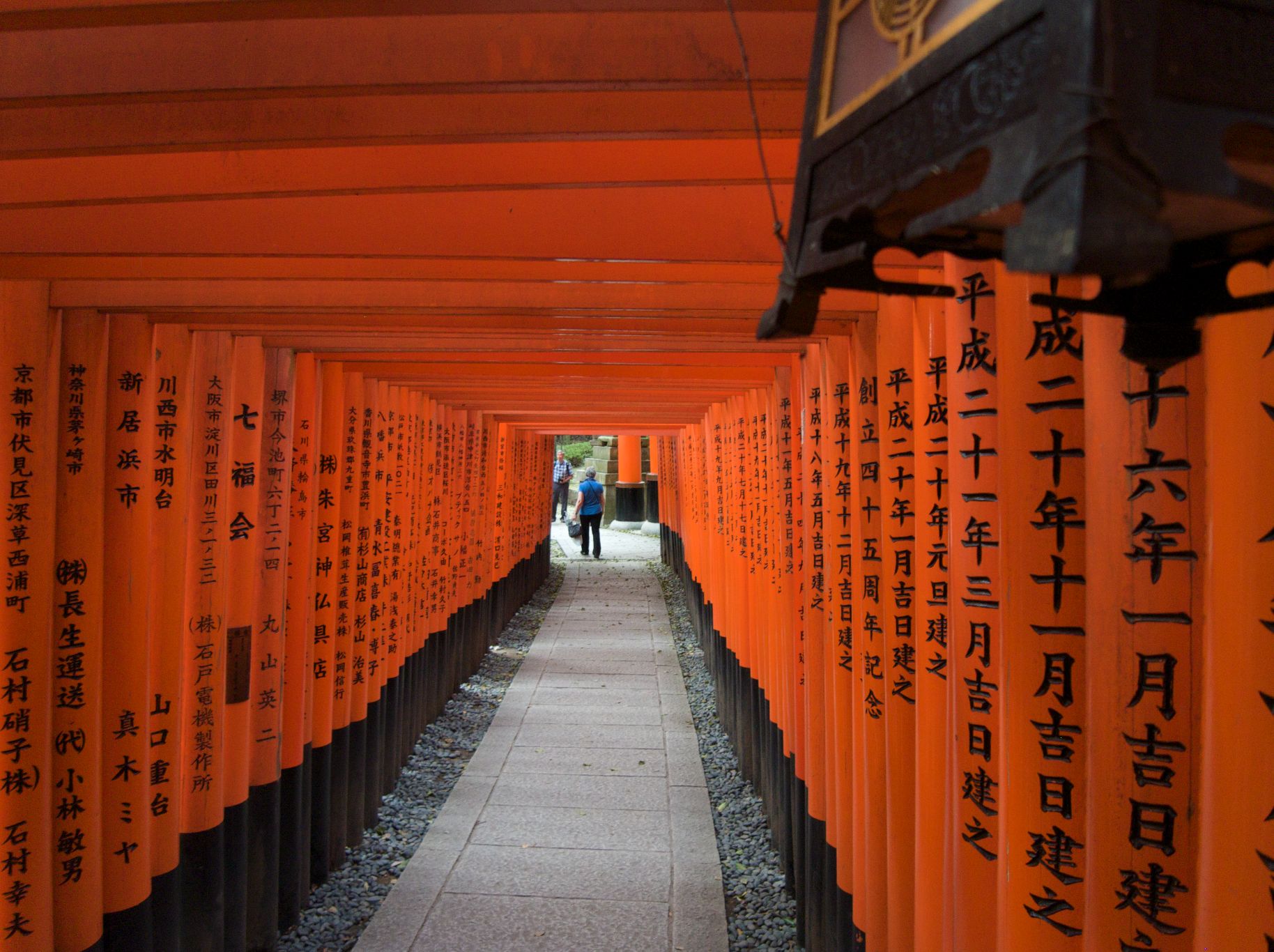 More than 10,000 Vermilion Torii at Fushimi Inari Tashi Shine