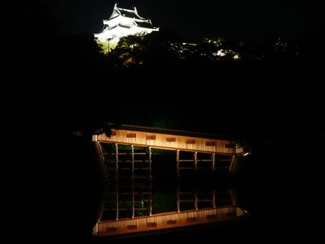 Ohashi Roka and Wakayama Castle