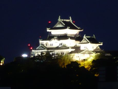Close up of Wakayama Castle from the Vebene patio.
