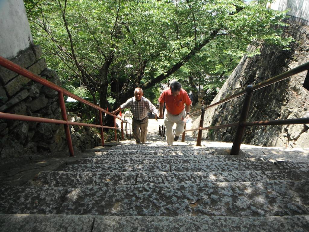 Walking the Steps to Kimiidera Temple