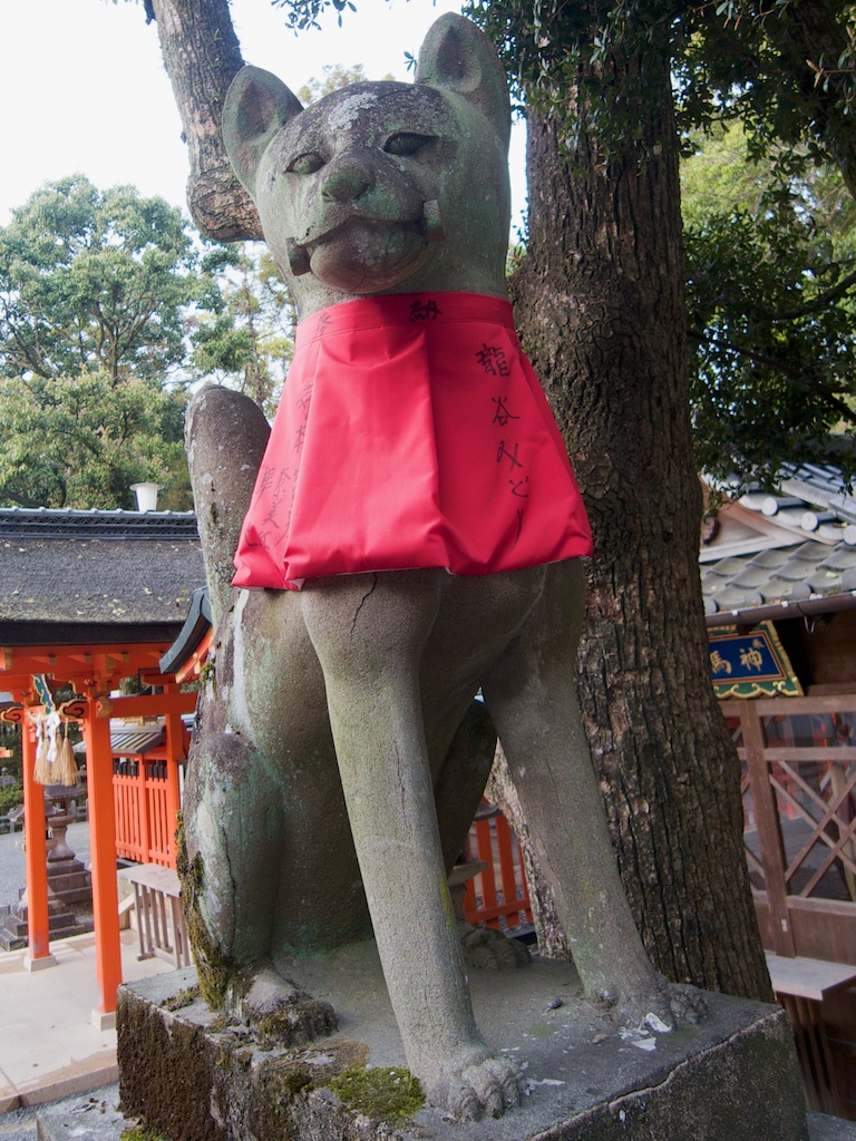 Young Fox Watches a Pathway at Fushimi Inari Taisha