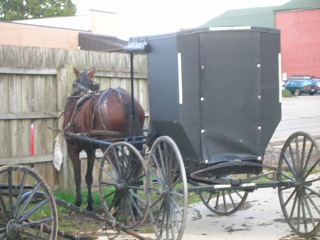 Amish Buggy Parking Lot, Wooster Ohio