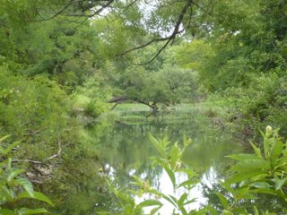 fort-richardson-state-park-historic-site-lost-creek-nature-trail