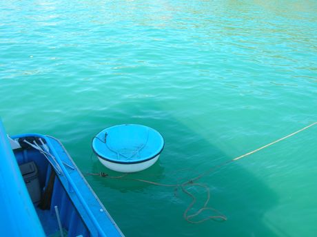 Fiberglass Coracle Paired with a Pleasure Boat in Vietnam