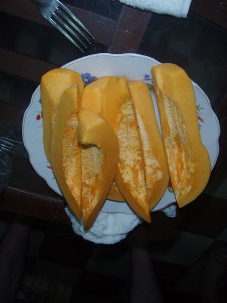 This Vietnamese Papaya We Already Knew